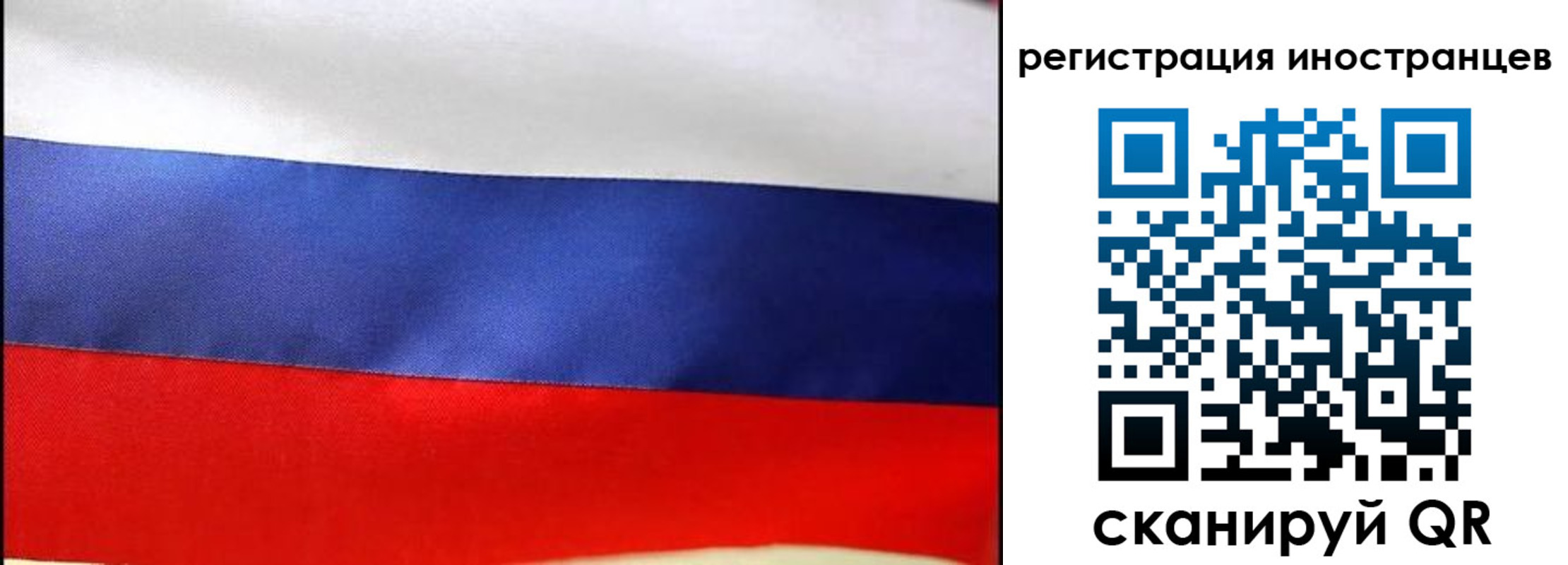 прописка регистрация в Светлом